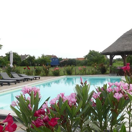 Tiszaszolos Tisza White House B&B 외부 사진