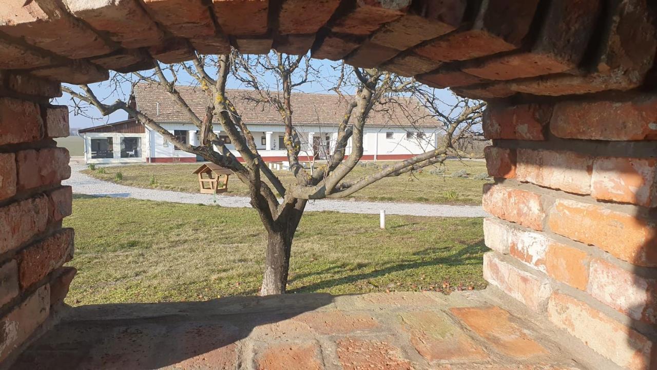 Tiszaszolos Tisza White House B&B 외부 사진
