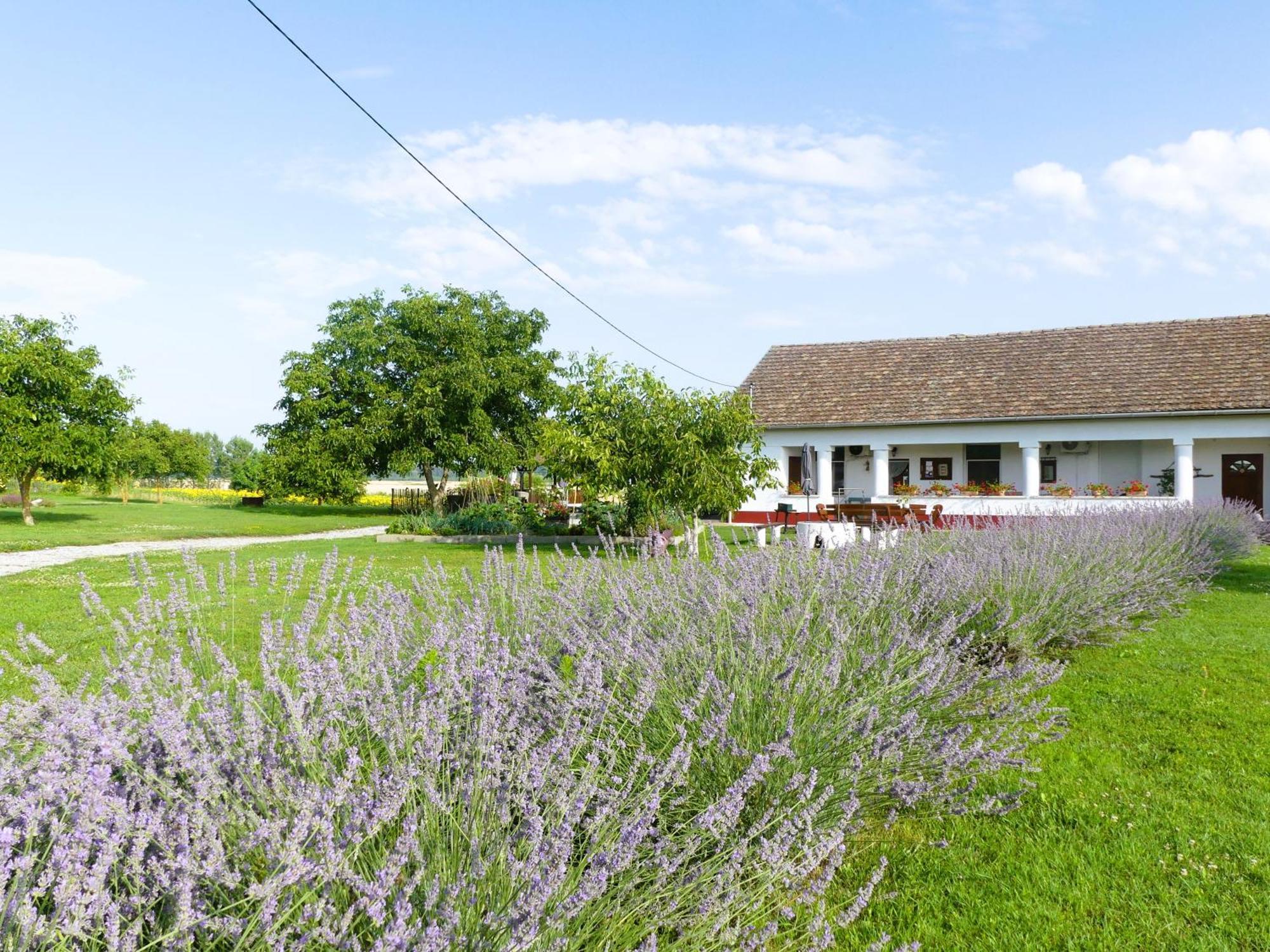 Tiszaszolos Tisza White House B&B 외부 사진