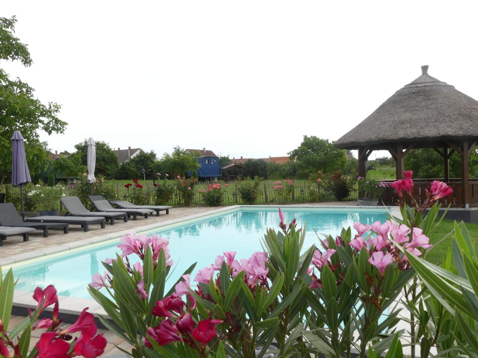Tiszaszolos Tisza White House B&B 외부 사진