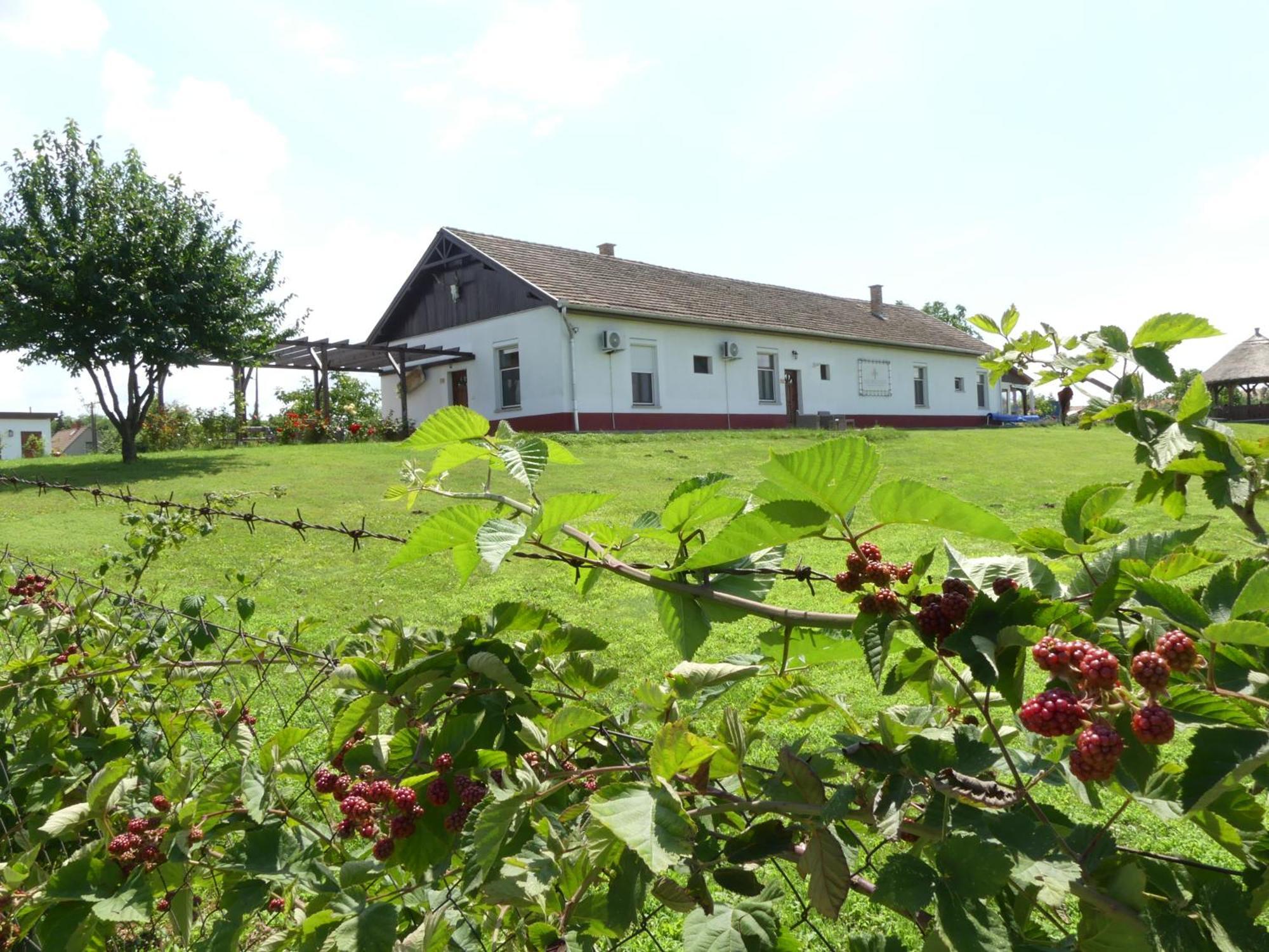 Tiszaszolos Tisza White House B&B 외부 사진