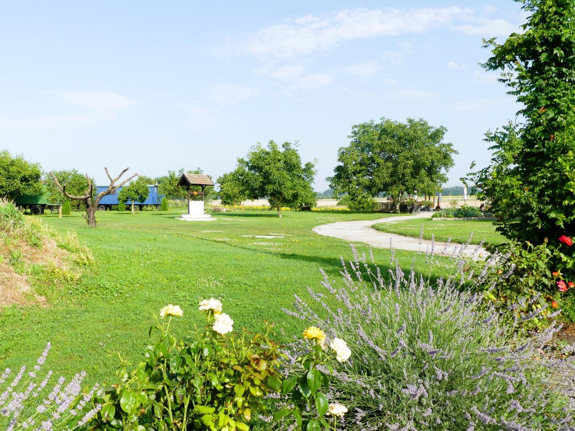 Tiszaszolos Tisza White House B&B 외부 사진